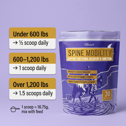 Spine & Mobility Horse Support