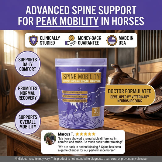 Spine & Mobility Horse Support